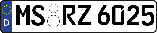 MS-RZ6025