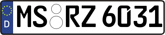 MS-RZ6031