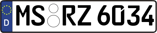 MS-RZ6034