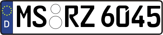 MS-RZ6045