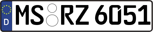 MS-RZ6051
