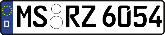 MS-RZ6054