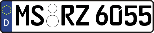 MS-RZ6055