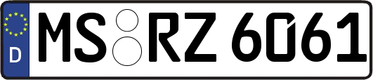 MS-RZ6061