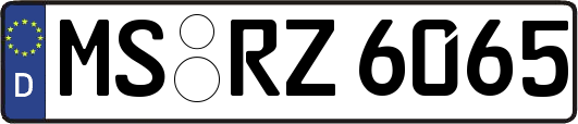 MS-RZ6065