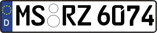 MS-RZ6074