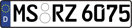 MS-RZ6075