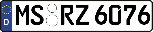 MS-RZ6076