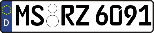 MS-RZ6091