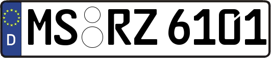 MS-RZ6101