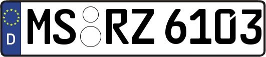MS-RZ6103