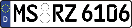 MS-RZ6106