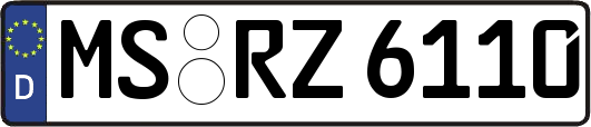 MS-RZ6110