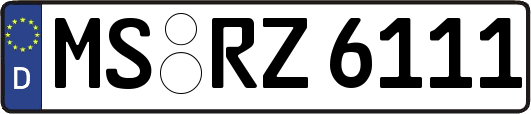 MS-RZ6111