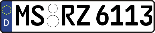 MS-RZ6113