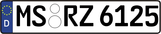 MS-RZ6125