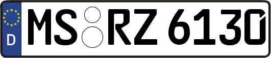 MS-RZ6130