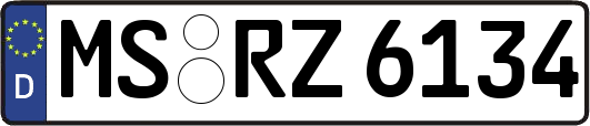 MS-RZ6134