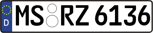MS-RZ6136