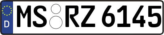 MS-RZ6145