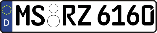 MS-RZ6160