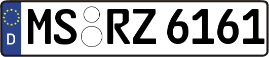 MS-RZ6161