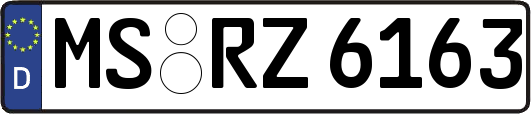 MS-RZ6163
