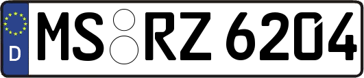 MS-RZ6204