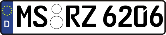 MS-RZ6206