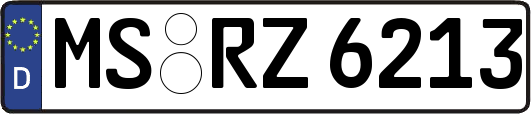 MS-RZ6213