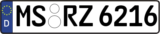 MS-RZ6216