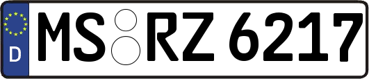 MS-RZ6217