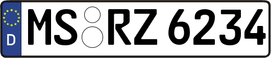 MS-RZ6234
