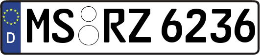 MS-RZ6236
