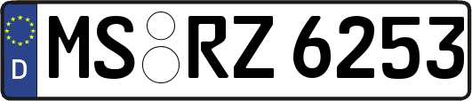 MS-RZ6253