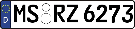 MS-RZ6273