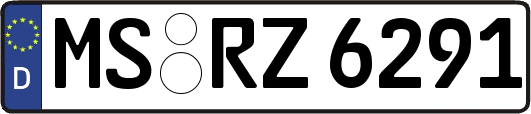 MS-RZ6291