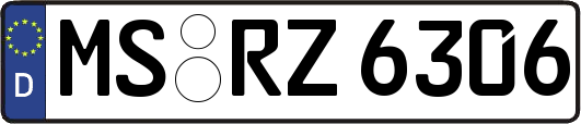 MS-RZ6306