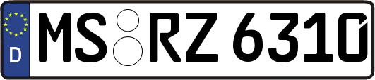 MS-RZ6310