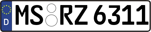 MS-RZ6311