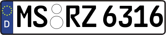 MS-RZ6316