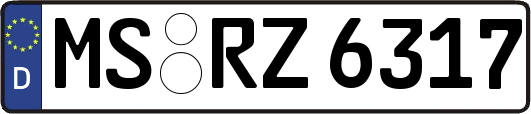 MS-RZ6317