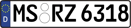 MS-RZ6318