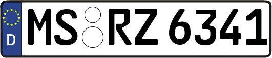 MS-RZ6341