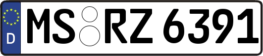 MS-RZ6391