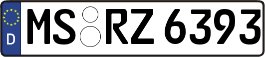 MS-RZ6393