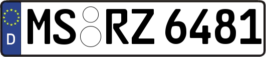 MS-RZ6481