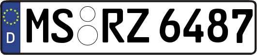 MS-RZ6487