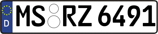MS-RZ6491