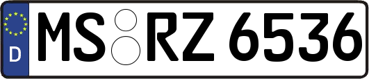 MS-RZ6536